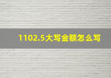 1102.5大写金额怎么写