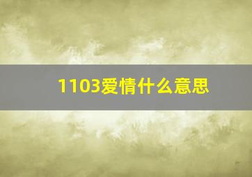 1103爱情什么意思