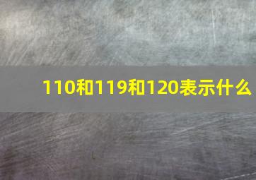 110和119和120表示什么