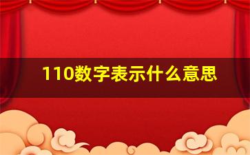 110数字表示什么意思