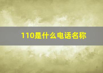 110是什么电话名称