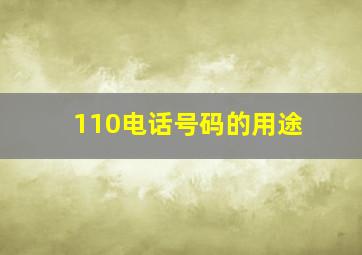 110电话号码的用途