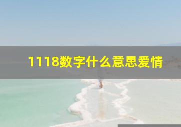 1118数字什么意思爱情