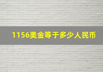 1156美金等于多少人民币