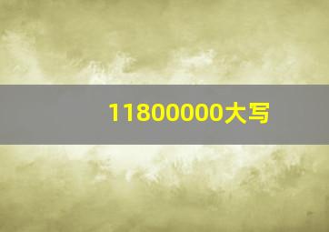 11800000大写