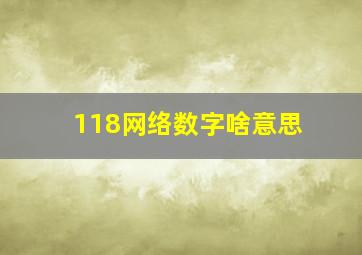 118网络数字啥意思