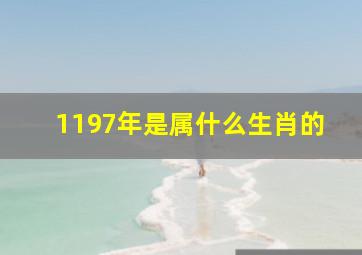 1197年是属什么生肖的