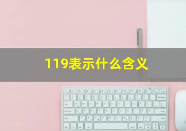 119表示什么含义