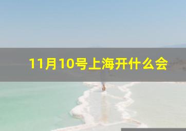 11月10号上海开什么会