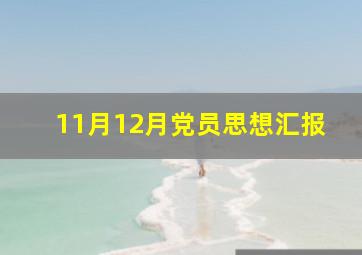 11月12月党员思想汇报