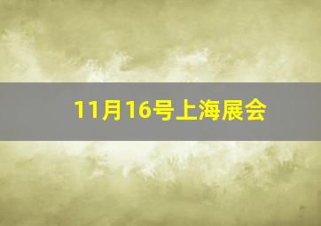 11月16号上海展会