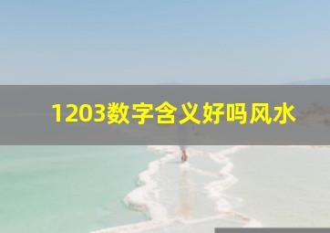 1203数字含义好吗风水