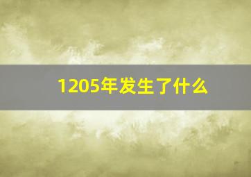 1205年发生了什么