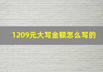 1209元大写金额怎么写的