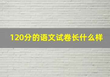 120分的语文试卷长什么样