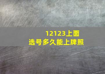 12123上面选号多久能上牌照