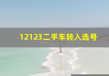 12123二手车转入选号