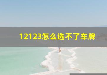 12123怎么选不了车牌