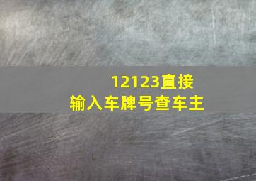 12123直接输入车牌号查车主