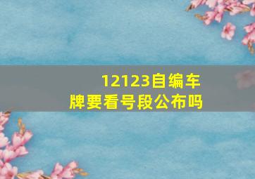 12123自编车牌要看号段公布吗