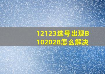 12123选号出现B102028怎么解决