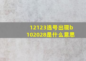 12123选号出现b102028是什么意思