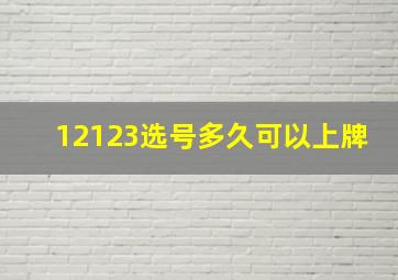 12123选号多久可以上牌