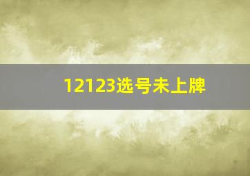 12123选号未上牌