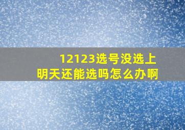 12123选号没选上明天还能选吗怎么办啊