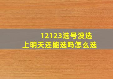 12123选号没选上明天还能选吗怎么选