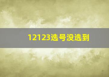 12123选号没选到