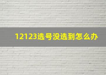 12123选号没选到怎么办