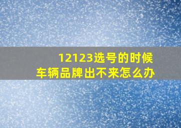 12123选号的时候车辆品牌出不来怎么办