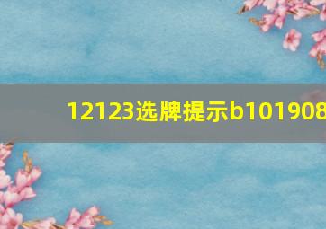 12123选牌提示b101908