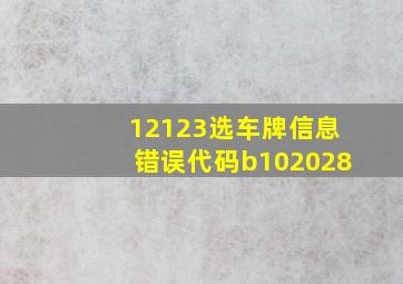 12123选车牌信息错误代码b102028