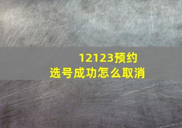 12123预约选号成功怎么取消