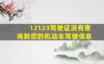 12123驾驶证没有查询到您的机动车驾驶信息