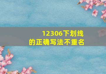 12306下划线的正确写法不重名