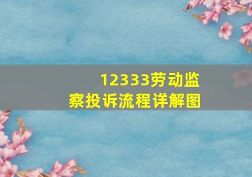 12333劳动监察投诉流程详解图