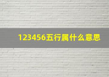 123456五行属什么意思