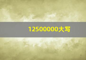 12500000大写