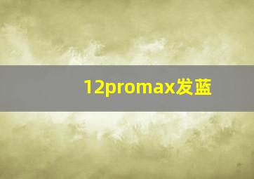 12promax发蓝