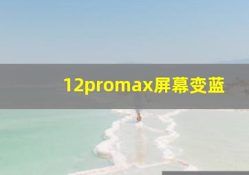 12promax屏幕变蓝