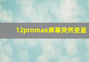 12promax屏幕突然变蓝