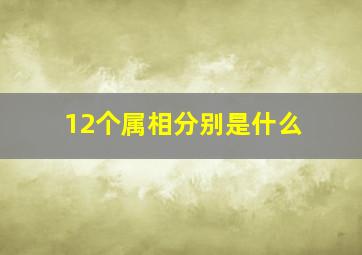 12个属相分别是什么