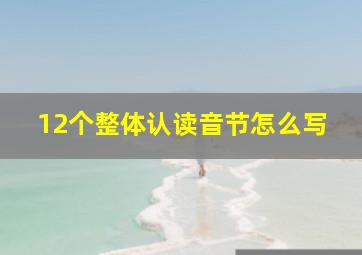 12个整体认读音节怎么写