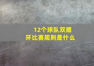 12个球队双循环比赛规则是什么