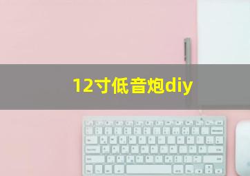 12寸低音炮diy