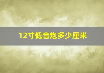 12寸低音炮多少厘米