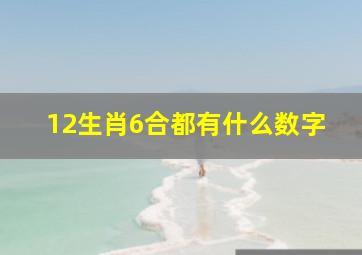 12生肖6合都有什么数字